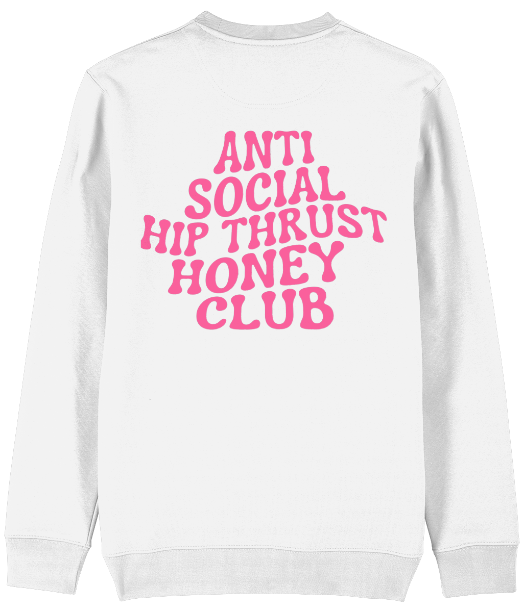 HGC sweater Anti social