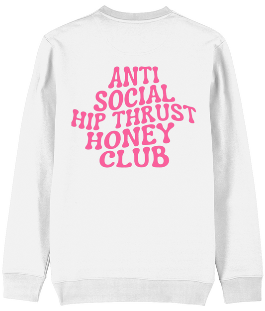 HGC sweater Anti social