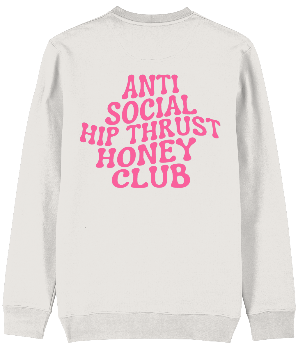 HGC sweater Anti social