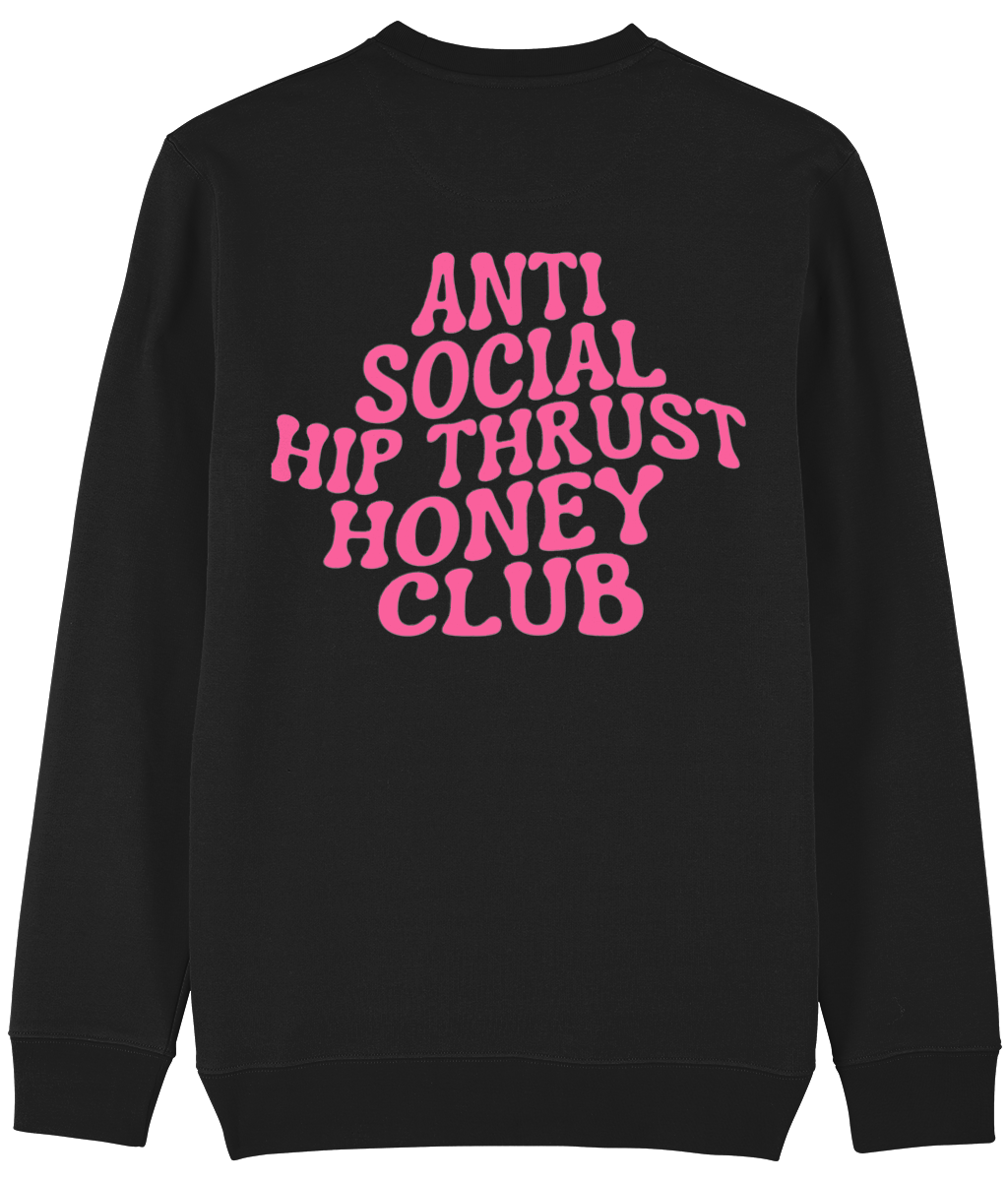 HGC sweater Anti social