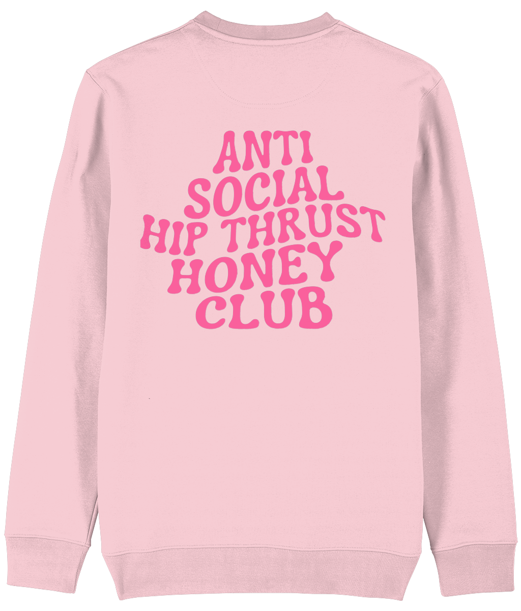 HGC sweater Anti social