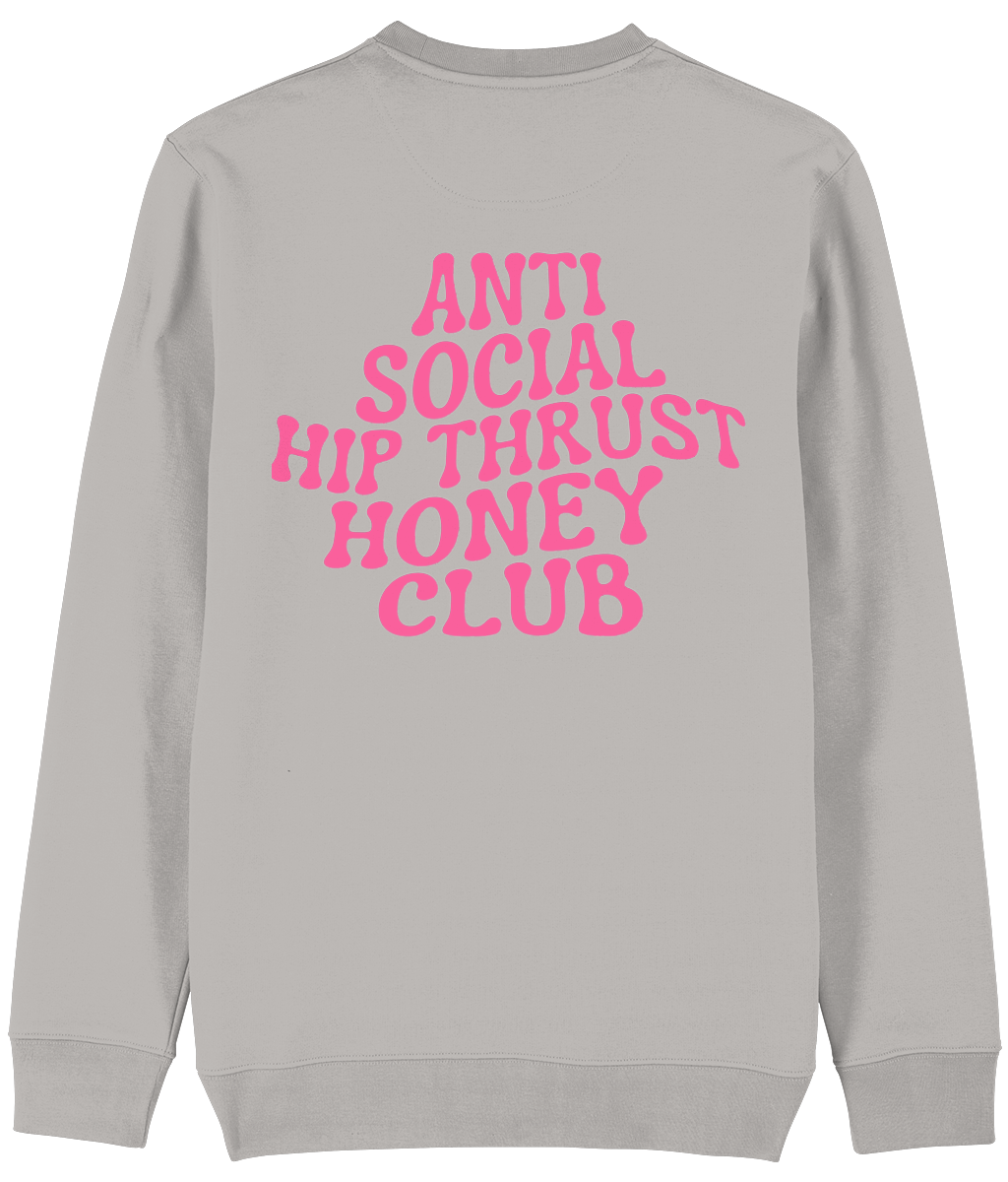 HGC sweater Anti social