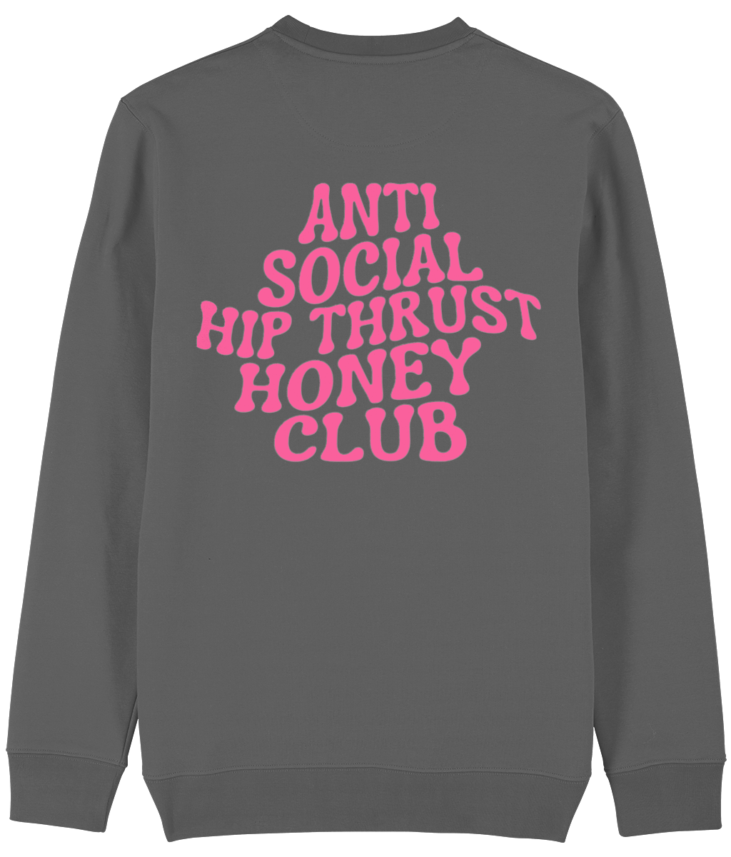 HGC sweater Anti social